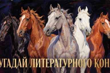 Вы король книг, если ответите на 5/5 — пасуют даже библиотекари