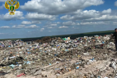 Новость дня