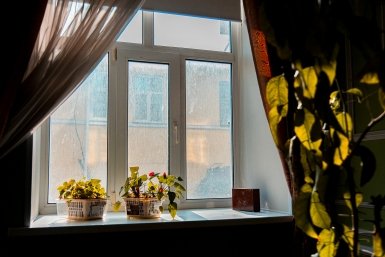 Положите одну вещь на подоконник — и забудете о сквозняках на всю осень и зиму: в доме еще и запахнет лесом