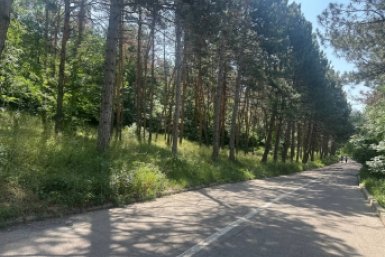 Новость дня