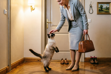 Тоскуют без хозяина: 3 породы кошек, которые особенно привязаны к человеку