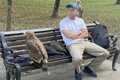 Диких птиц конфисковали у уличных фотографов в Ессентуках Администрация Ессентуков
