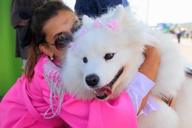 Идеальные компаньоны для взрослых и детей: 5 пород собак, которые очаруют всю семью