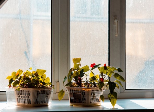 Выгоднее снимать квартиру или покупать в ипотеку? Что советуют ставропольские эксперты