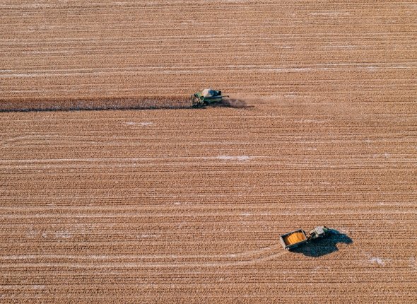 Новость дня