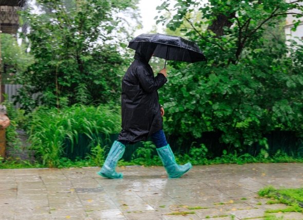 Новость дня