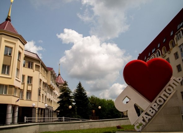 В Ставрополе заработают 16 елочных базаров во всех трех районах