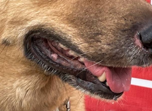 Новость дня