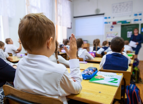 В Ставрополе заработают 16 елочных базаров во всех трех районах