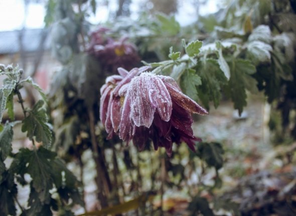 Новость дня