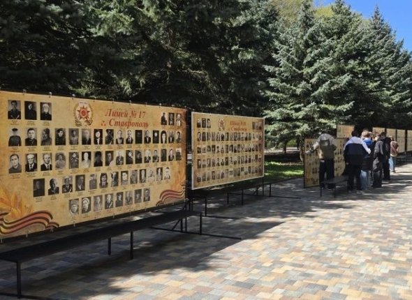 В Ставрополе заработают 16 елочных базаров во всех трех районах