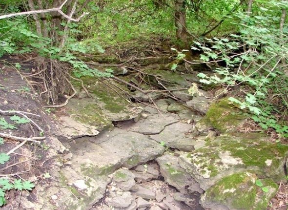 Охранную зону для памятника природы "Косякинский песчаный карьер" создали возле Ставрополя
