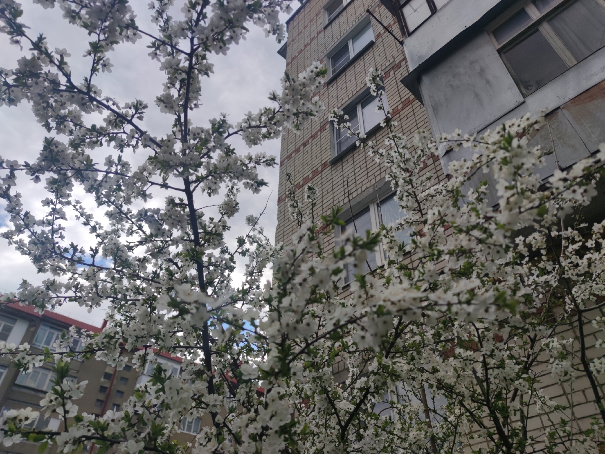 Контрастами температур удивит погода Ставрополья на выходных ИА Stavropol.Media