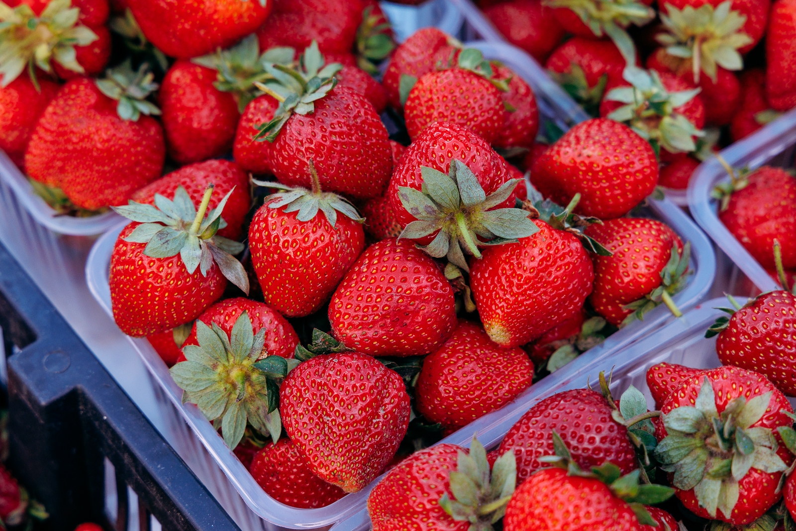 18 кг клубники изъяли у уличных торговцев из &quotГазели&quot в центре Ставрополя Евгений  Кулешов, ИА PrimaMedia