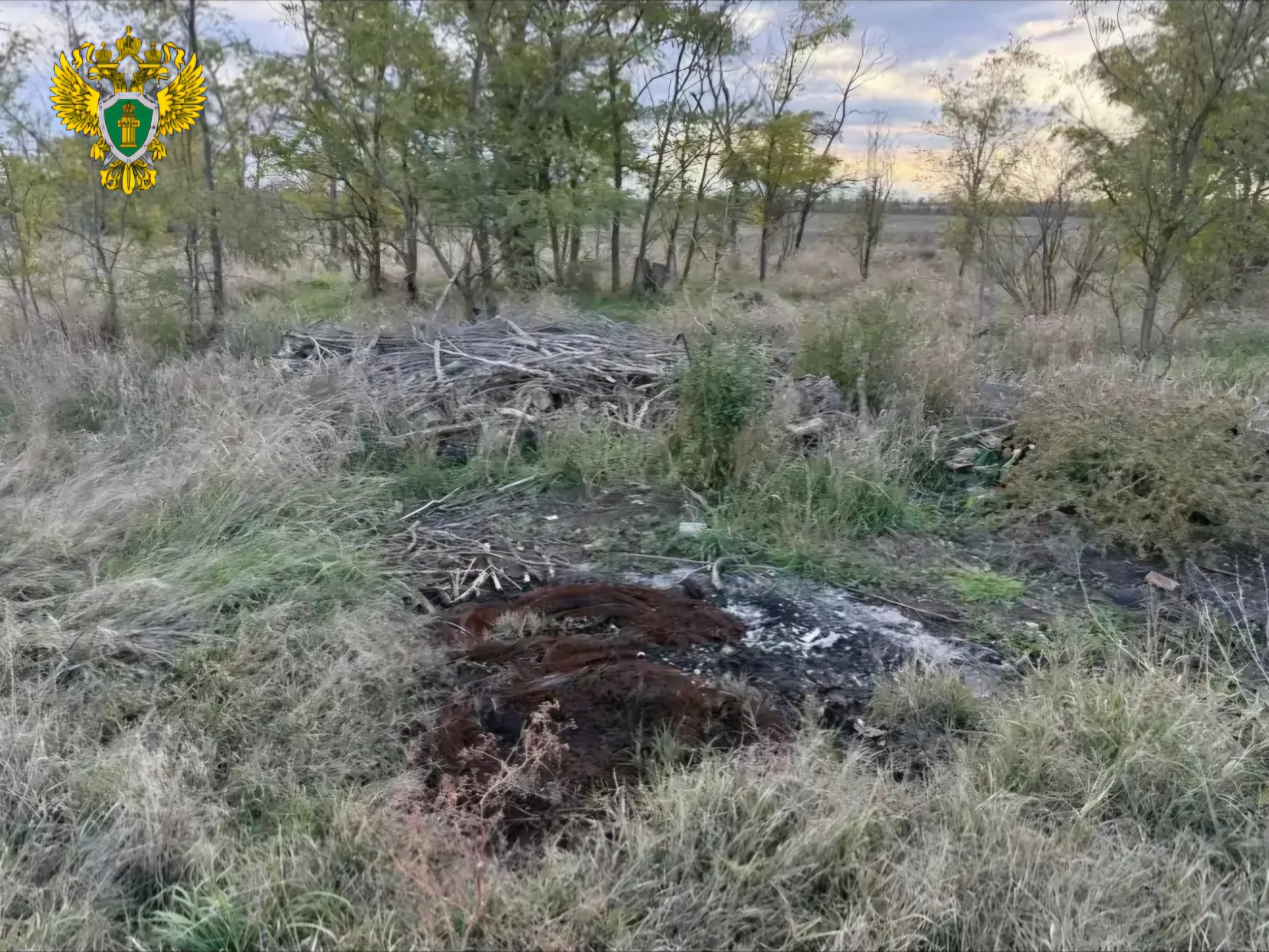 Свалки на землях лесхоза ликвидировали по требованию прокуратуры на Ставрополье пресс-служба прокуратуры Ставрополья