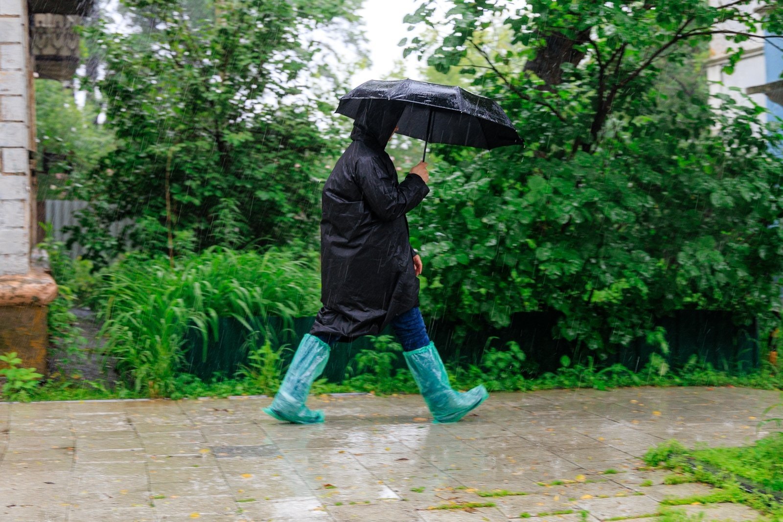 С дождя и грозы начнется новая рабочая неделя на Ставрополье Евгений Кулешов, ИА PrimaMedia.ru