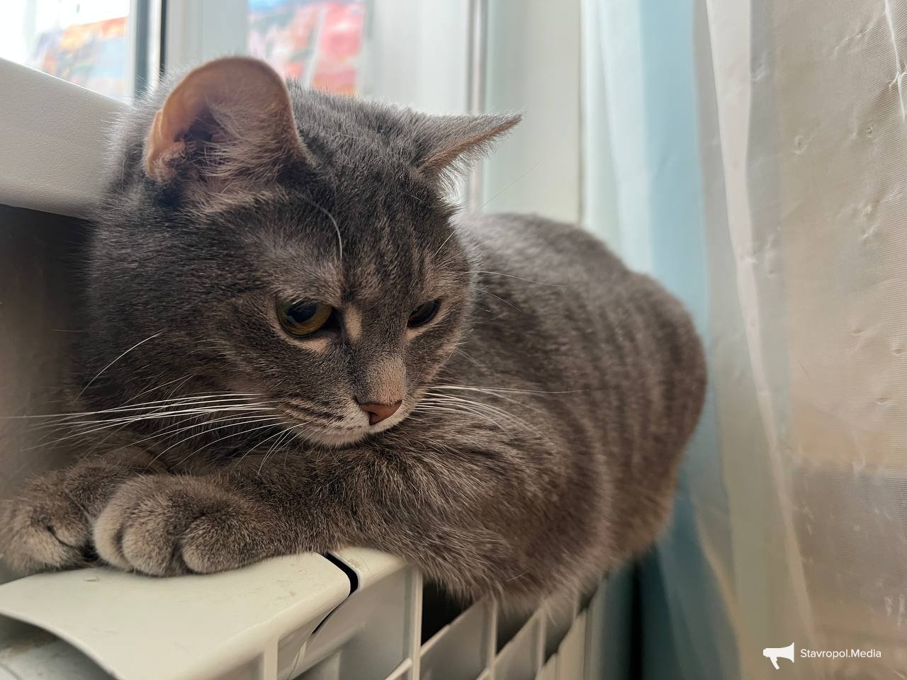 Когда отключат отопление в Ставрополе — ответ мэрии ИА Stavropol.Media