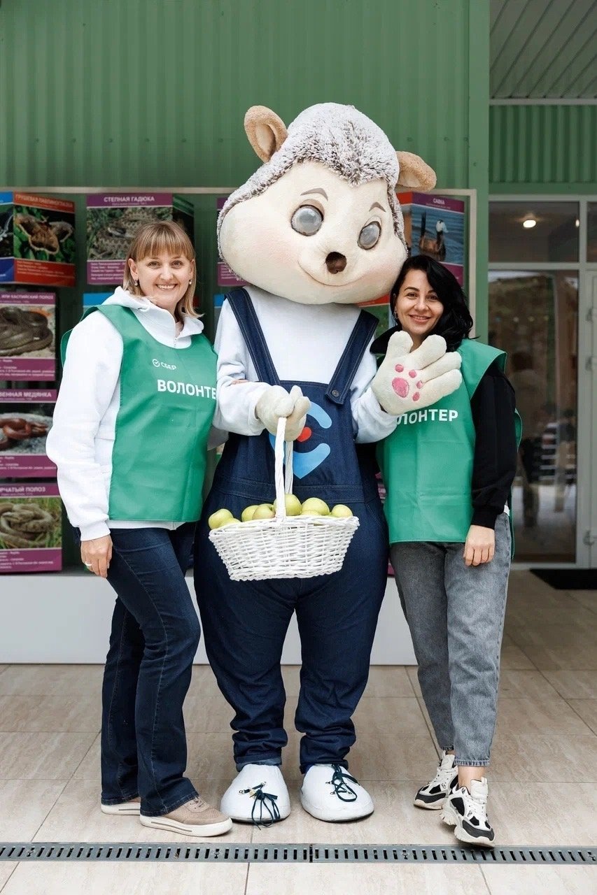 Тематическое фото Евгений Чистяков, предоставлено пресс-службой Сбера