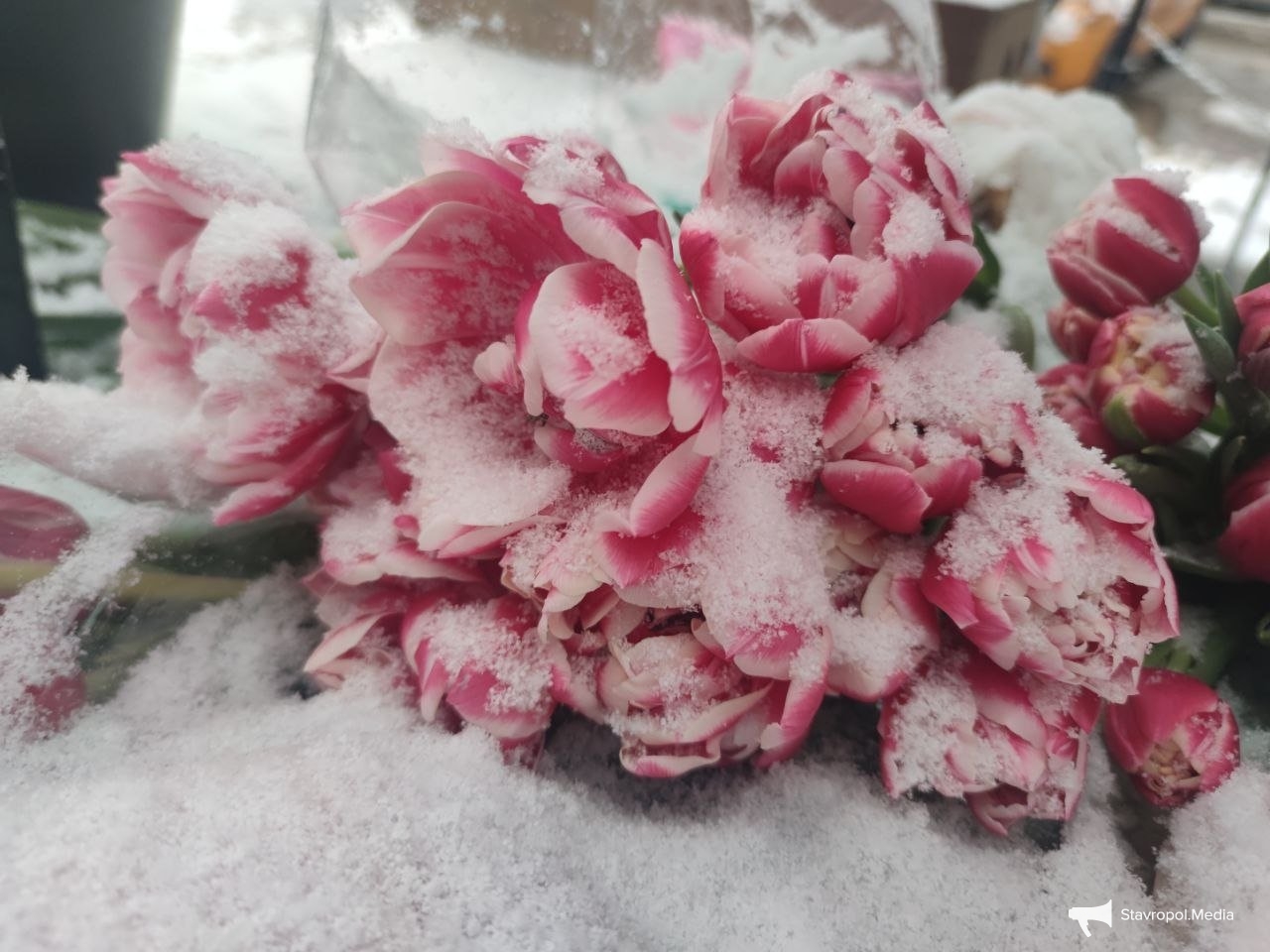 Мокрый снег и ветер до 18 м/с: на Ставрополье прогнозируют резкую смену погоды ИА Stavropol.Media