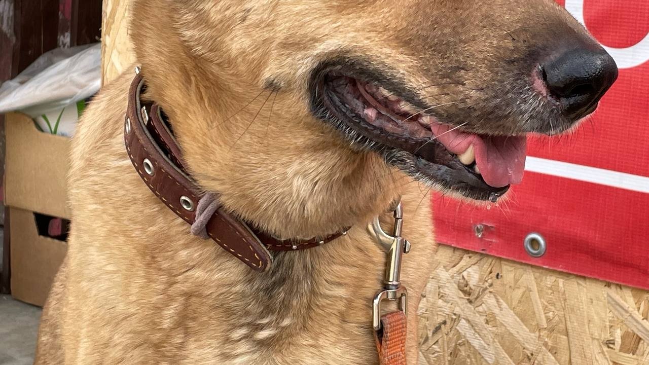 Тематическое фото ИА Stavropol.Media