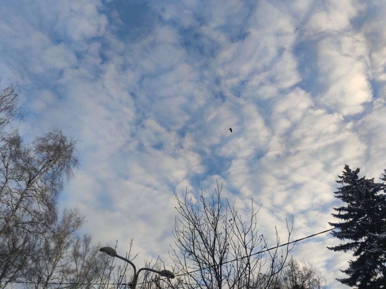 Беспилотную опасность объявили днём 23 апреля на Ставрополье ИА Stavropol.Media