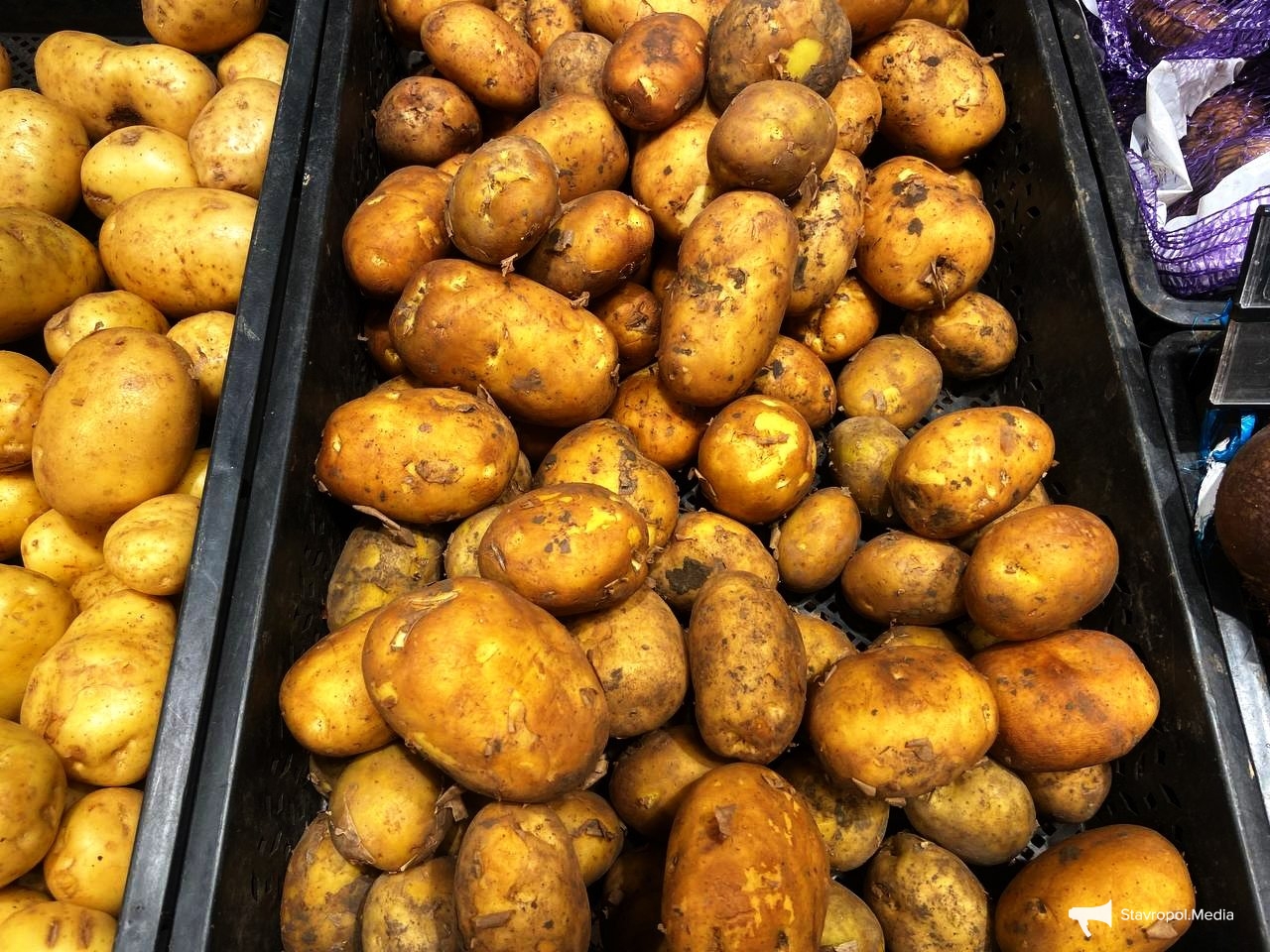 Картофель, огурцы и лук упали в цене за неделю на Ставрополье ИА Stavropol.Media