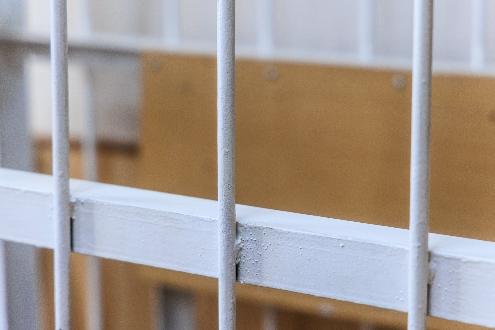 Ещё одного участника массовой драки в Изобильном заключили под стражу Евгений  Кулешов, ИА PrimaMedia.ru