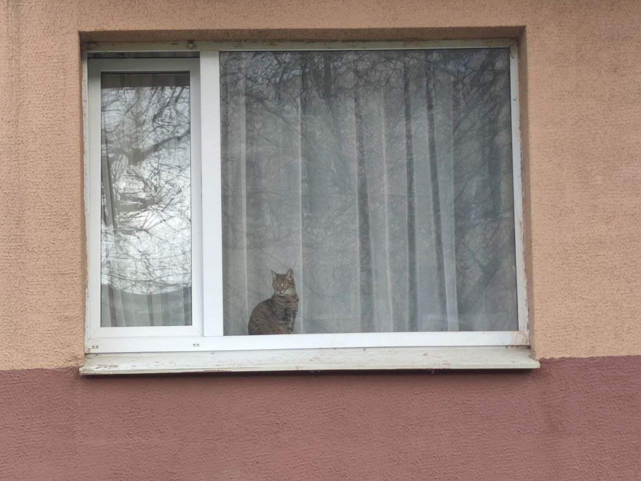 Недвижимость ИА Stavropol.Media