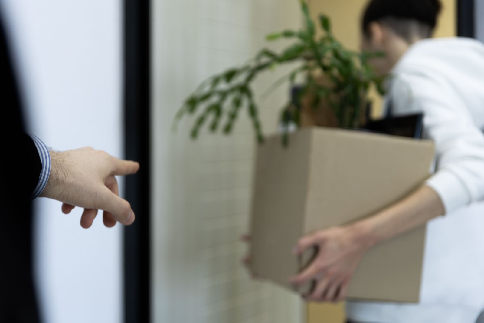 Рынок труда развернулся к работодателям - министр труда Ставрополья Артём Хорошилов  , ИА Stavropol.Media