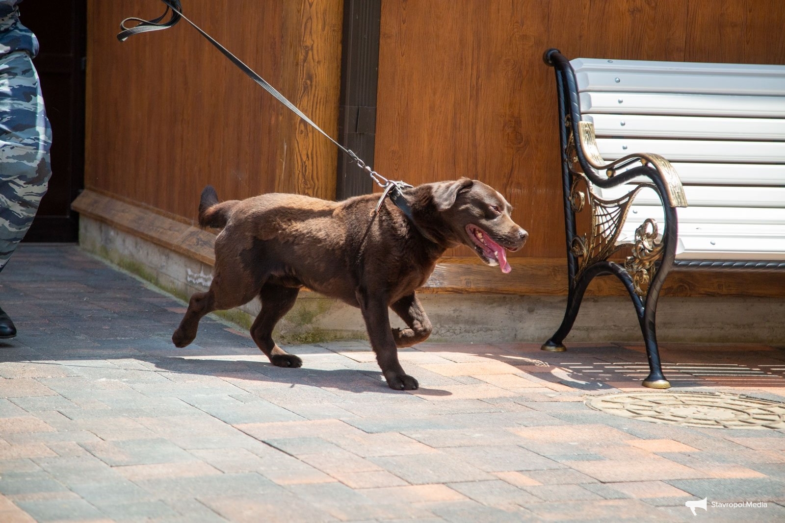 Анонимные угрозы о минировании нескольких объектов проверили в Минводах ИА Stavropol.Media