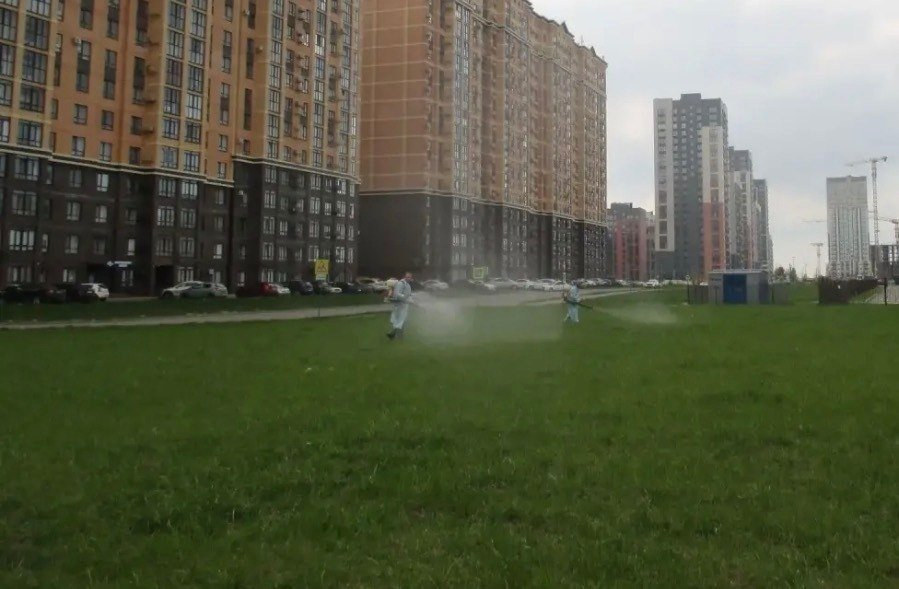 В Ставрополе обработали от клещей парки и детские площадки Мэрия Ставрополя
