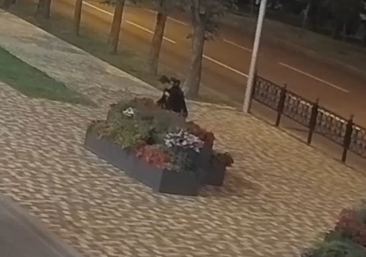 В полицию заявили на вандалов, укравших цветы из новых вазонов в центре Ставрополя соцсети Ивана Ульянченко