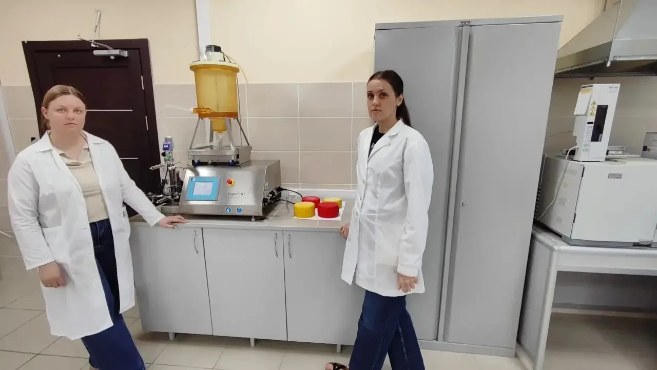 Учёные СКФУ разработали импортозамещающую технологию производства мягких сыров Пресс-служба СКФУ