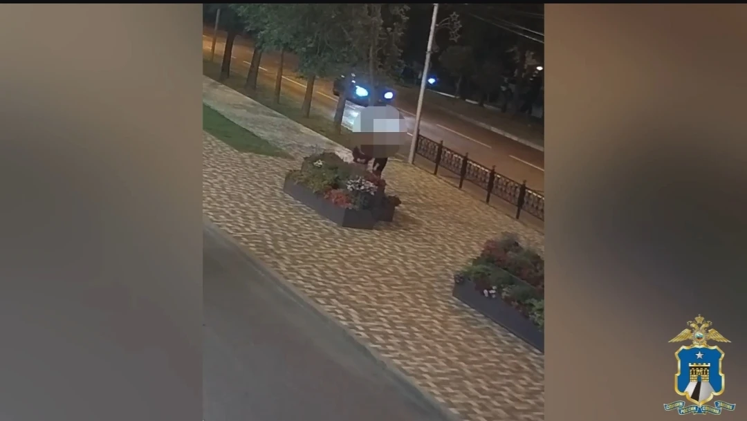 На жителя Ставрополя возбудили три уголовных дела за кражу растений из клумб ГУ МВД Ставрополья