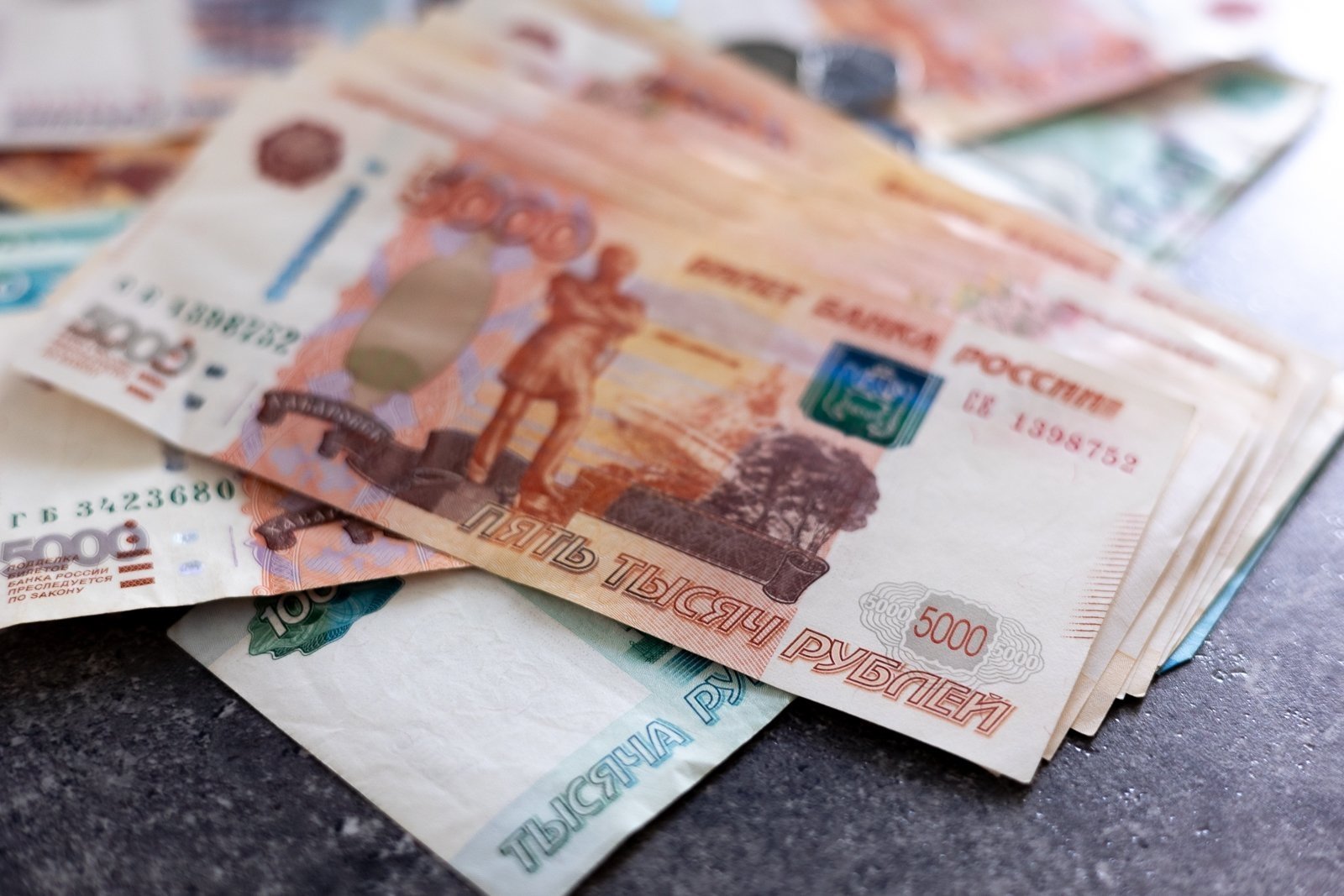 На Ставрополье дочь с матерью обманули банк на 30 млн рублей Илья Аверьянов, ИА PrimaMedia.ru