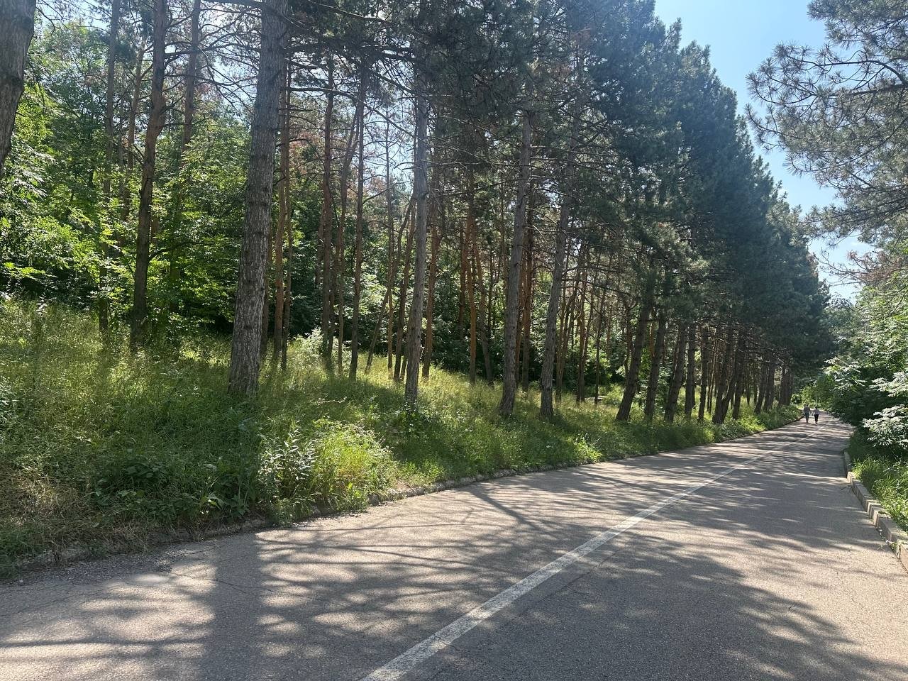 Охранную зону памятника природы &quotГора Бештау&quot создали на Ставрополье ИА Stavropol.Media